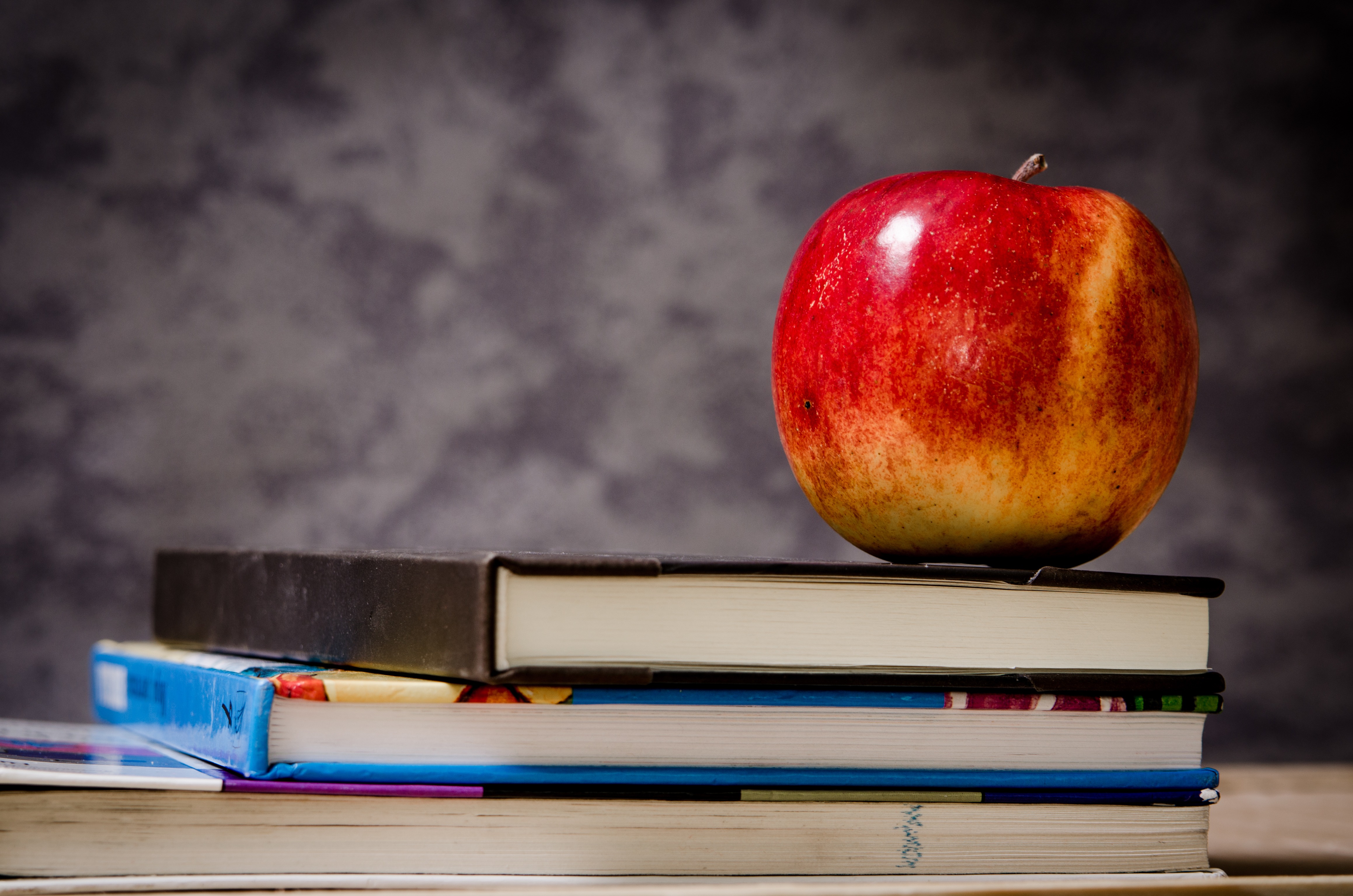 Healthy School Lunches Corner Canyon Academy Draper Utah