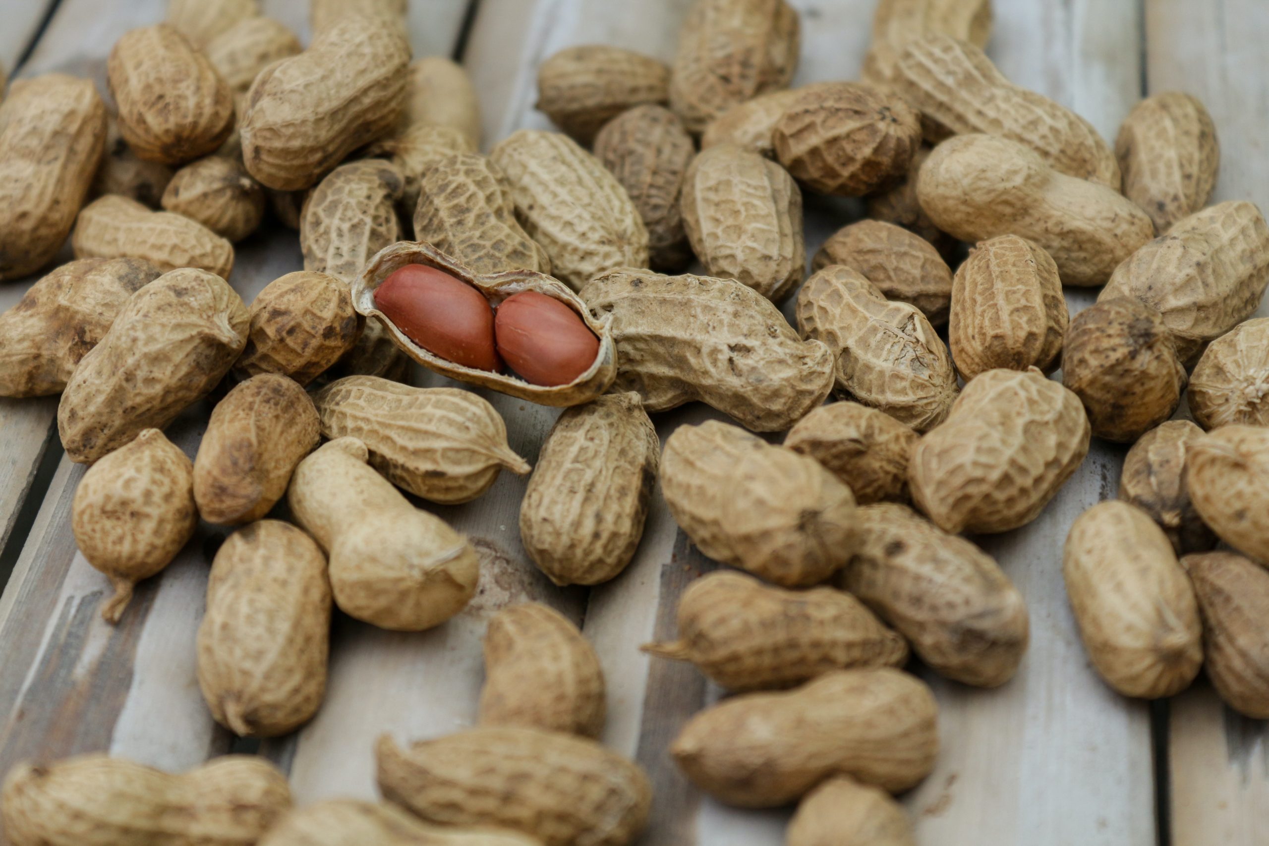 food allergies in children